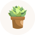 null